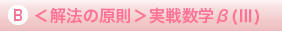 B<解法の原則>実戦数学β(V)